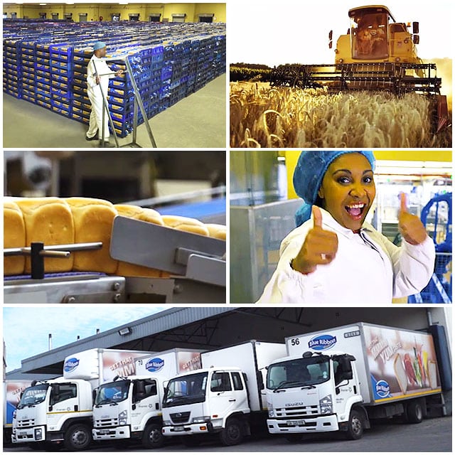 Vagas de emprego Blue Ribbon